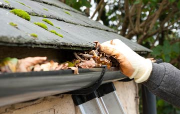 gutter cleaning Stoke St Mary, Somerset